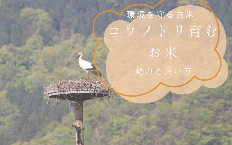 コウノトリ育むお米