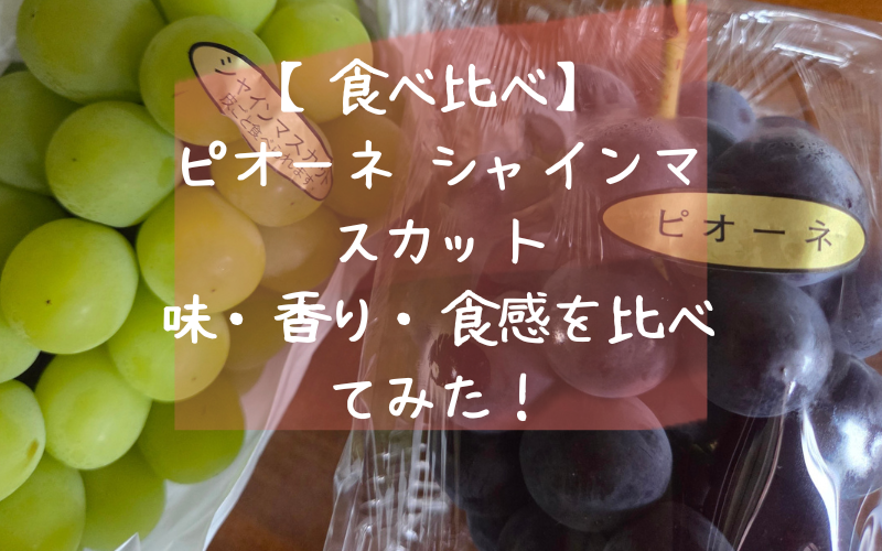 ピオーネ　シャインマスカット