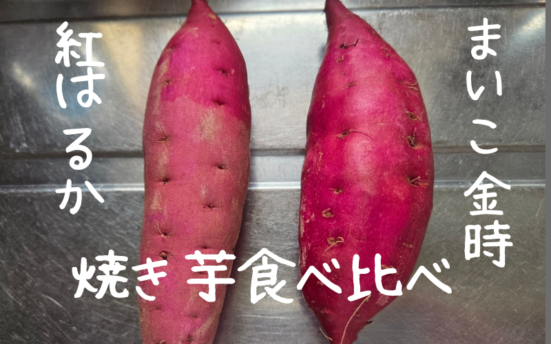 紅はるか　まいこ金時